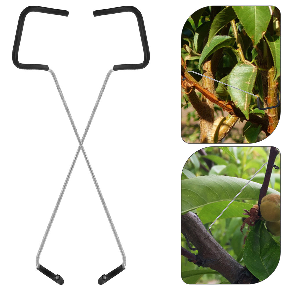 Bonsai Garden Tools - Bonsai Branch Trunk Trainer 10pcs Fruit