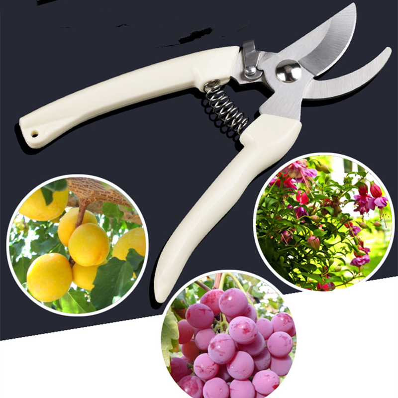 Bonsai Garden Tools - Pruner Orchard and The Garden Hand