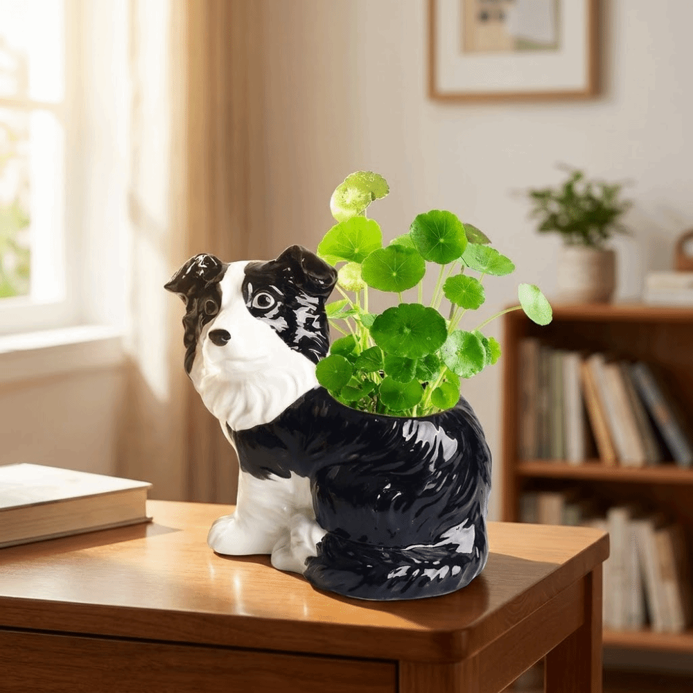 Modern Cute Ceramic Dog Vase U - Bonsai Garden Art 리뷰 및 가격