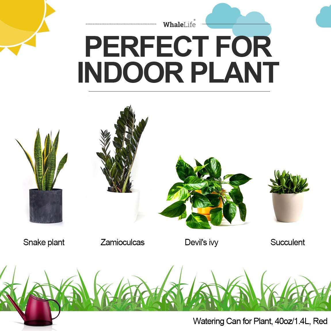 Indoor Watering Can for House  - Bonsai Garden Images 리뷰 및 가격