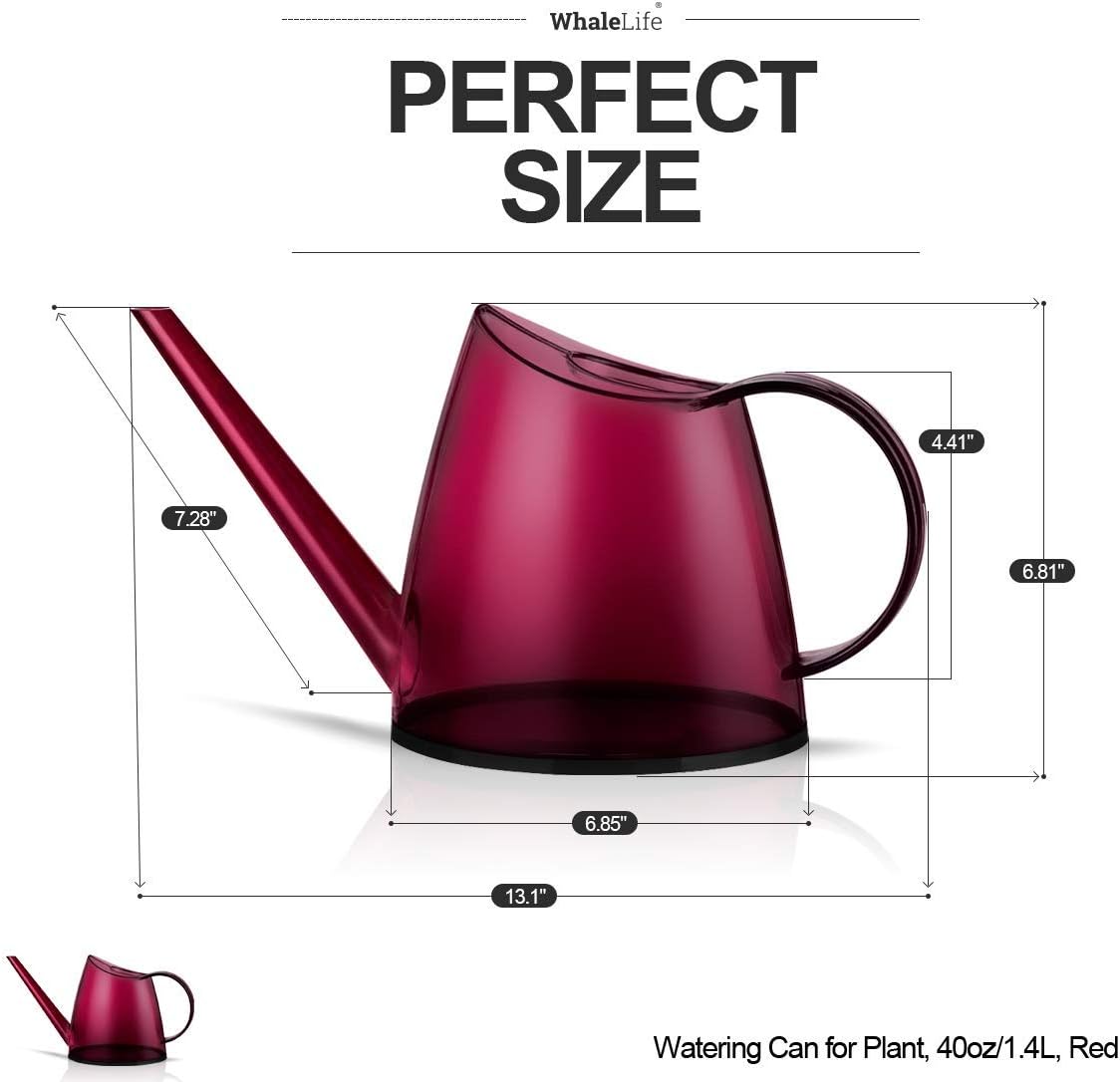 Indoor Watering Can for House  - Bonsai Garden Images 리뷰 및 가격