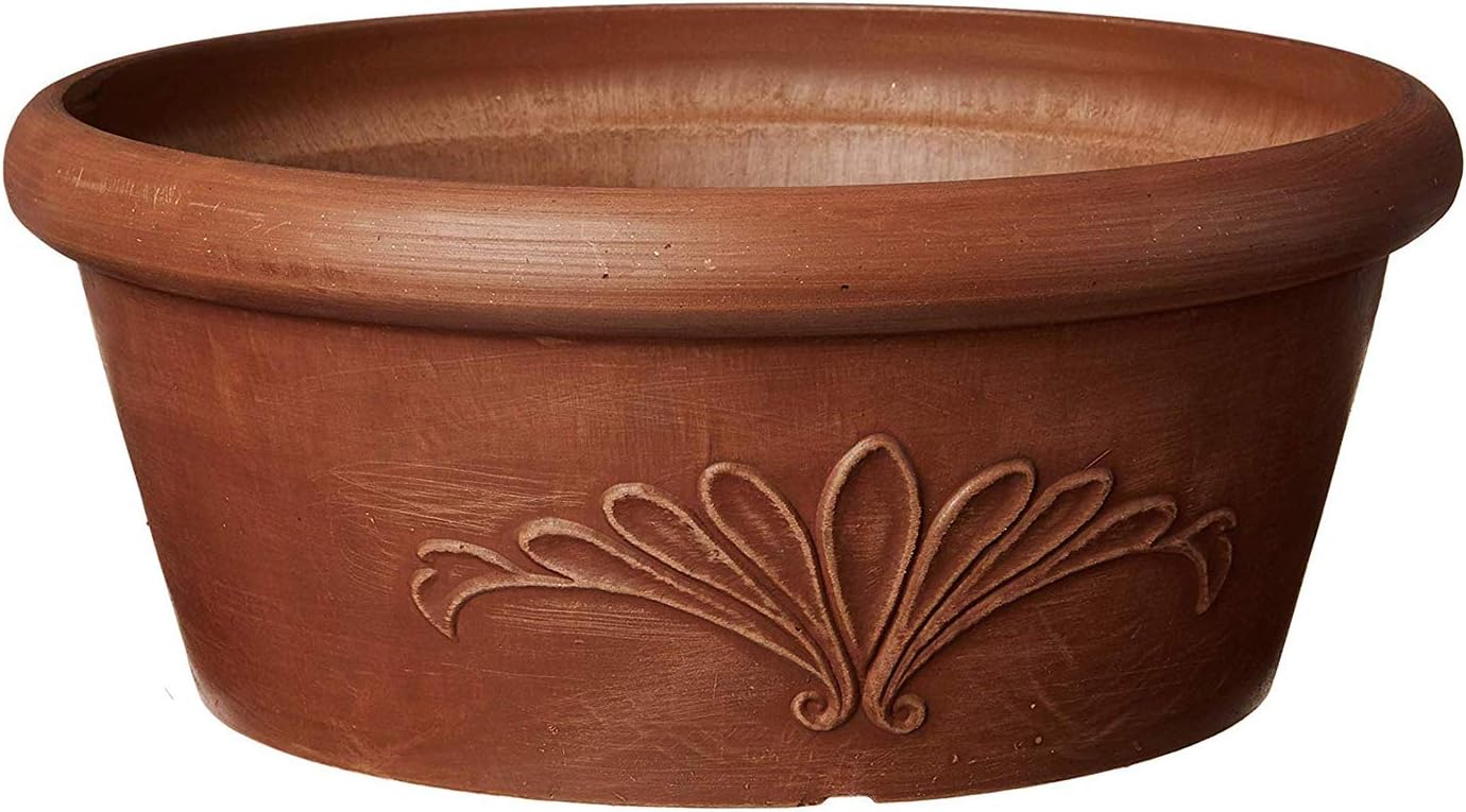 10-Inch Drillable Planter Bowl - Bonsai Garden Images 리뷰 및 가격