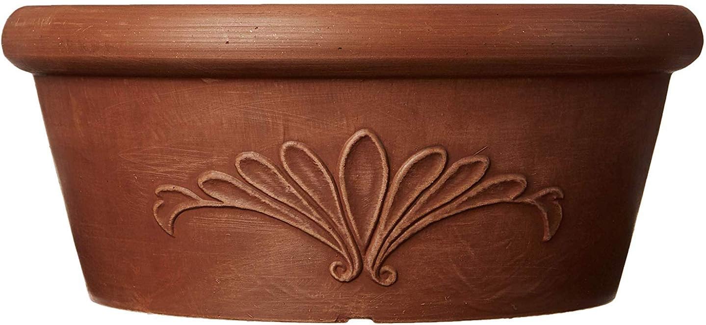 10-Inch Drillable Planter Bowl - Bonsai Garden Images 리뷰 및 가격