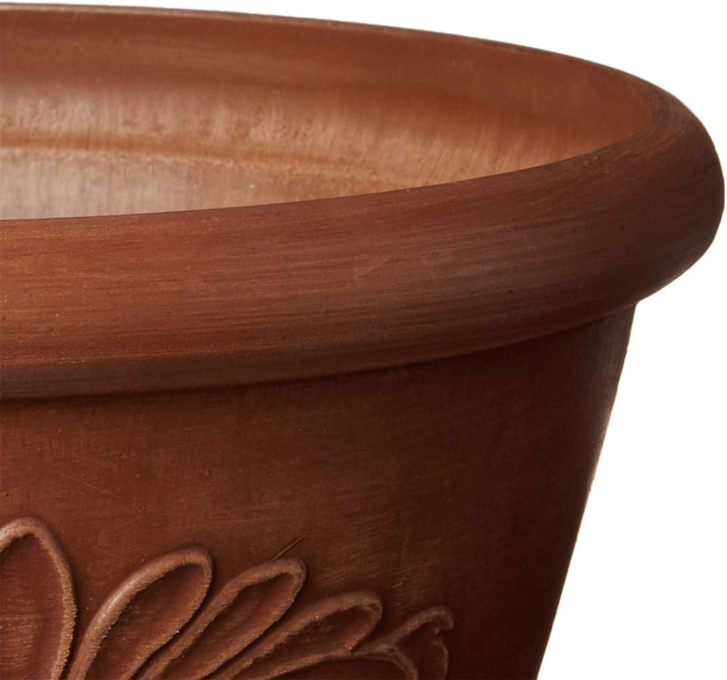 10-Inch Drillable Planter Bowl - Bonsai Garden Images 리뷰 및 가격