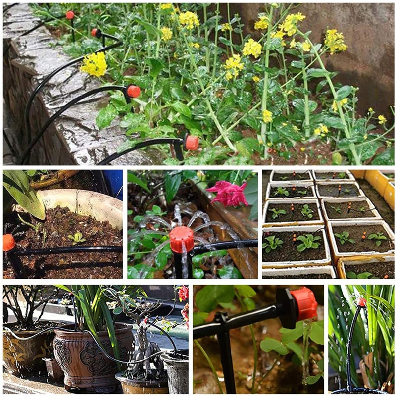 Garden Watering 4/7mm Hose PVC - Bonsai Garden Youtube 리뷰 및 가격