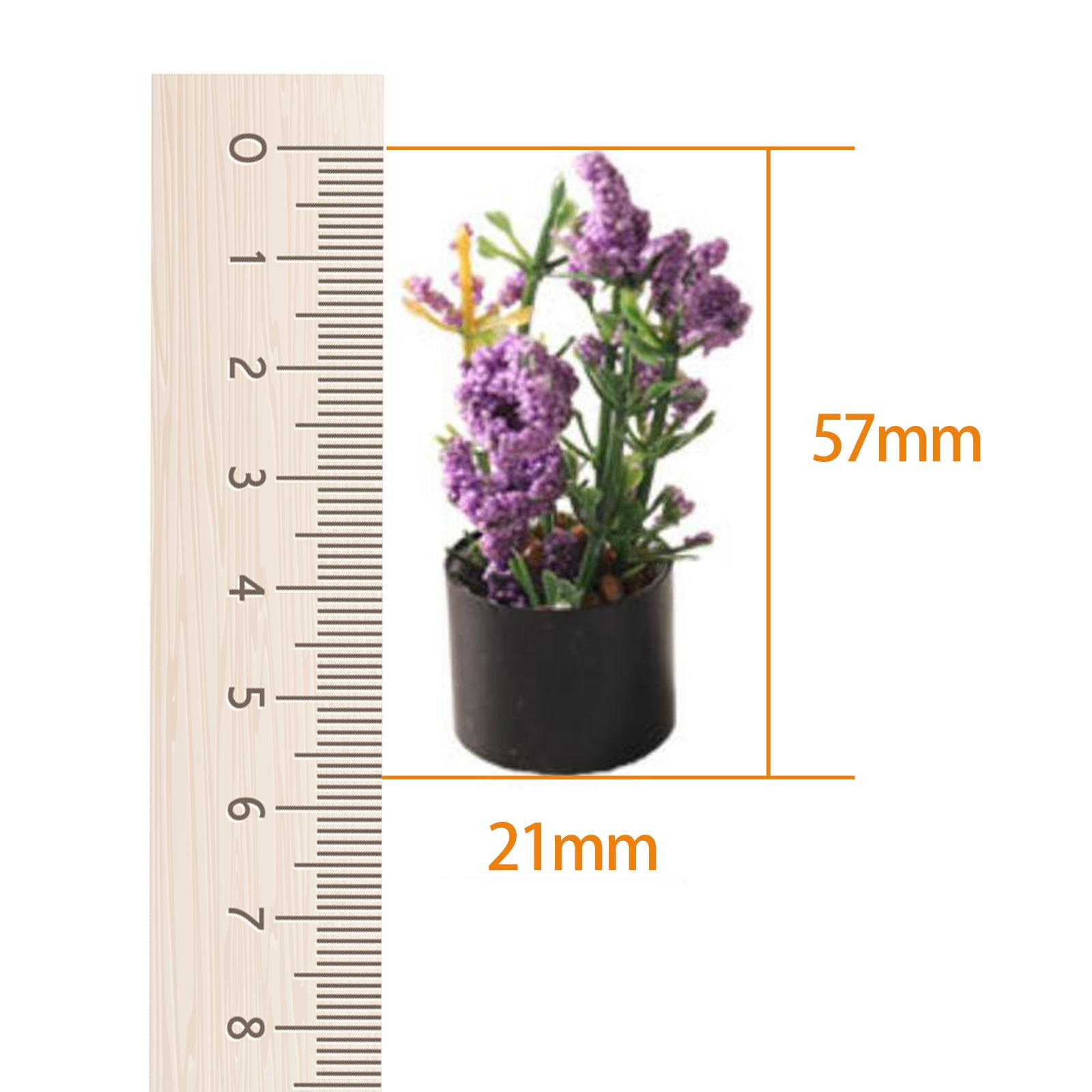 1/12 Miniature Flower Bonsai O - Bonsai Garden Entrance 리뷰 및 가격