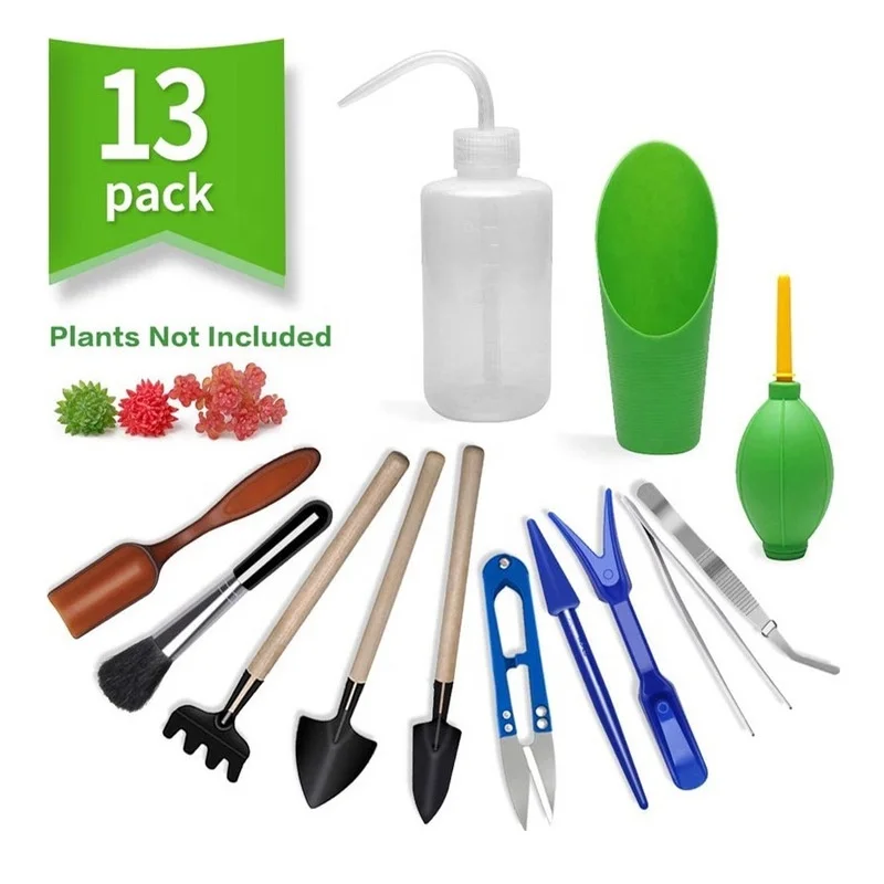 13Pcs Garden Planter Kit DIY S - Bonsai Garden Tools 리뷰 및 가격