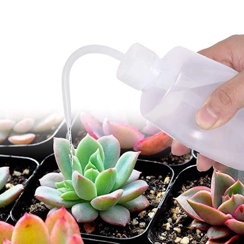 13Pcs Garden Planter Kit DIY S - Bonsai Garden Tools 리뷰 및 가격