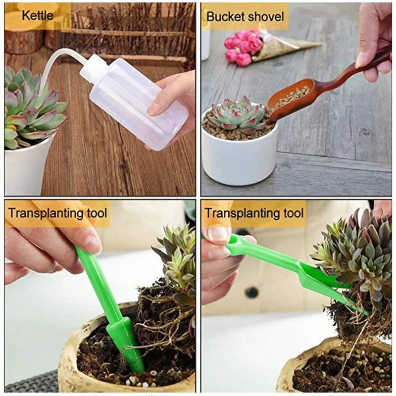 13Pcs Garden Planter Kit DIY S - Bonsai Garden Tools 리뷰 및 가격