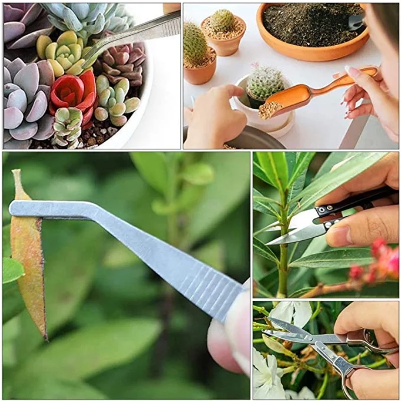 13Pcs Garden Planter Kit DIY S - Bonsai Garden Tools 리뷰 및 가격