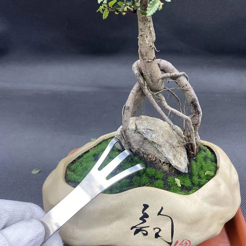 1Pc Stainless Steel Root Rake  - Bonsai Garden Tools 리뷰 및 가격
