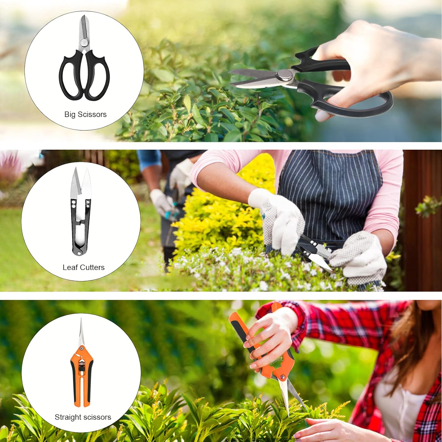 20-Piece Bonsai Tool Kit with  - Bonsai Garden Images 리뷰 및 가격