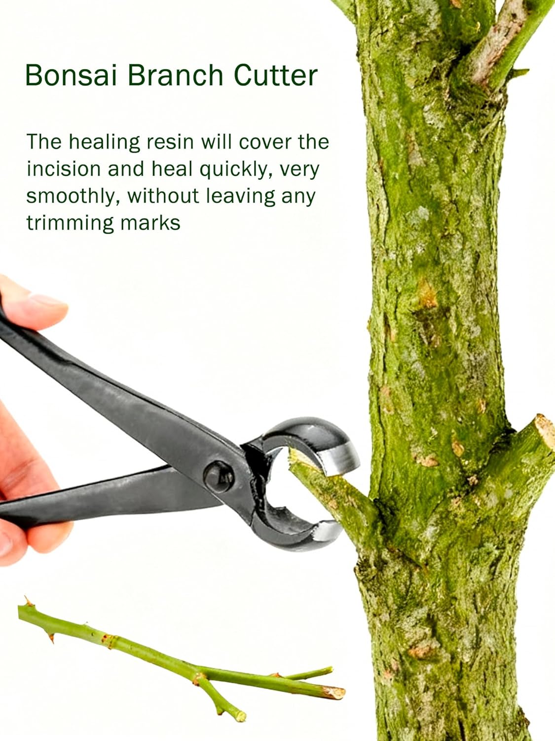 Bonsai Concave Cutter 8.4 Inch - Bonsai Garden Images 리뷰 및 가격