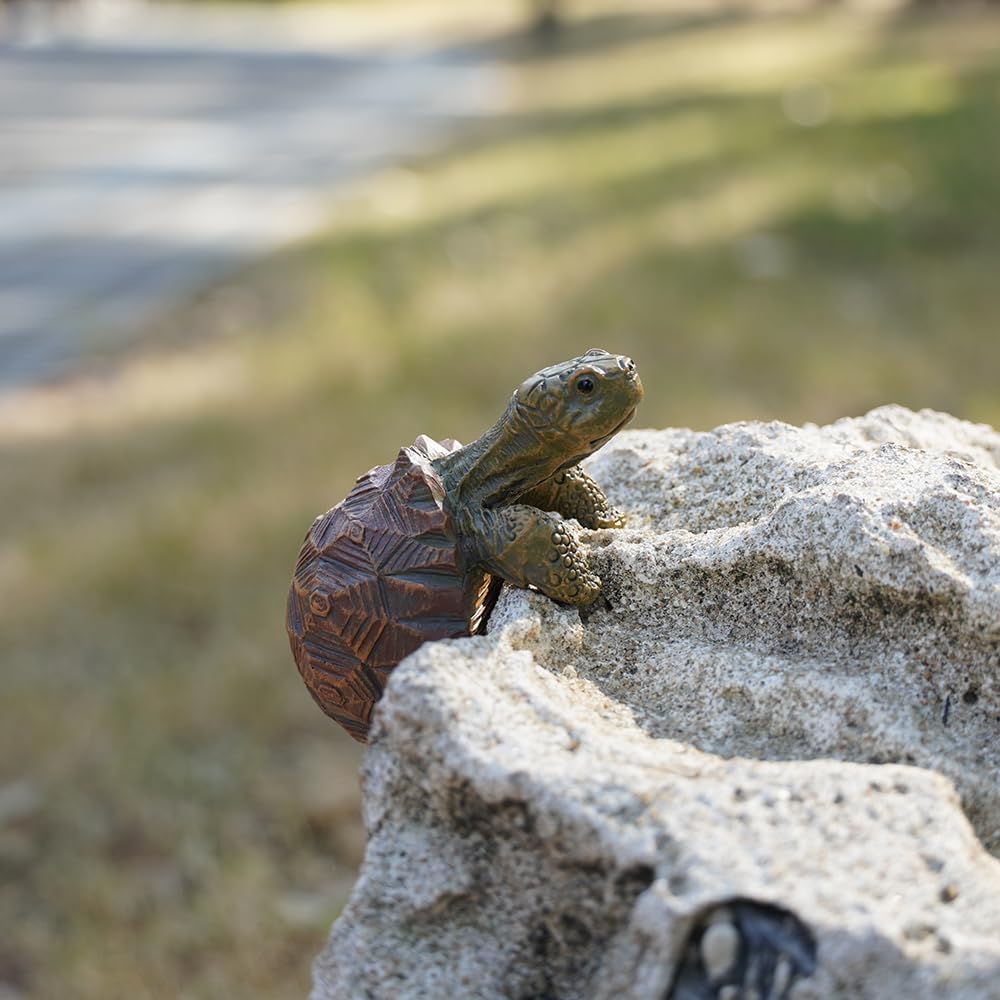 Mini Turtle Statue, Realistic  - Bonsai Garden Images 리뷰 및 가격