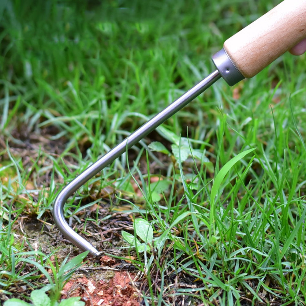 1PC Single Claw Hook Soil Loos - Bonsai Garden Tools 리뷰 및 가격