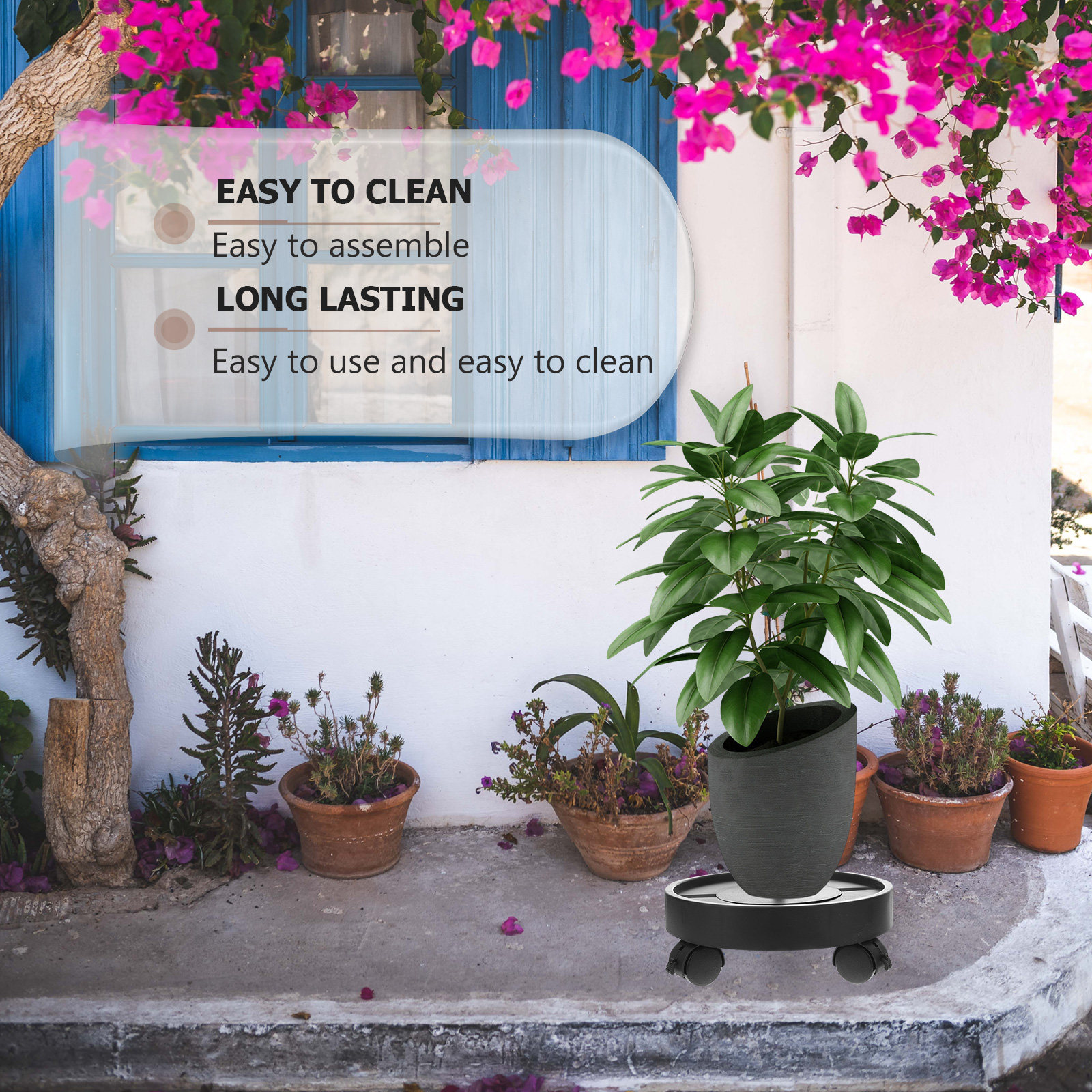 Automatic Water Absorption Bas - Us Bonsai Garden 리뷰 및 가격
