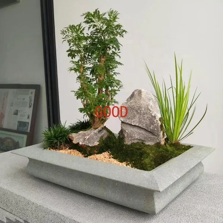 Garden Natural Bluestone Chine - Bonsai Garden Art 리뷰 및 가격