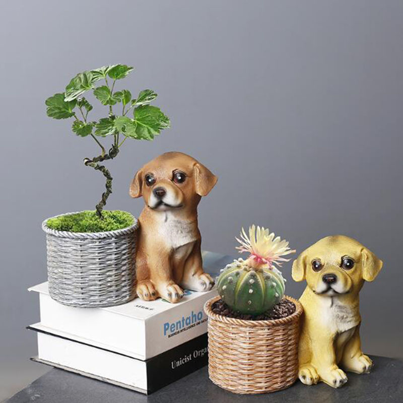 Household Living Room Office R - Bonsai Garden Art 리뷰 및 가격