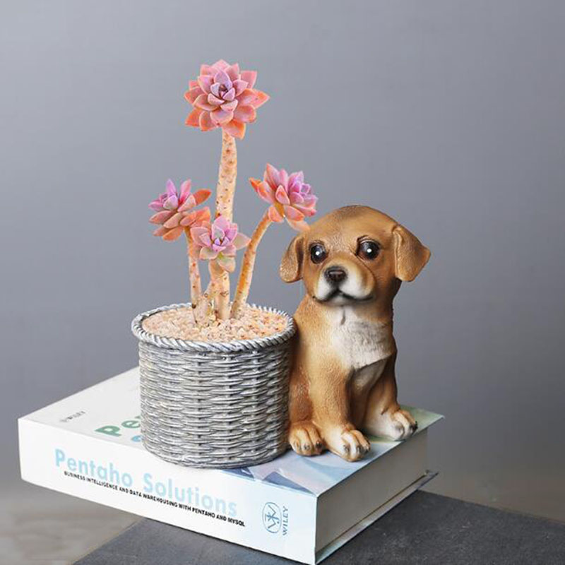 Household Living Room Office R - Bonsai Garden Art 리뷰 및 가격