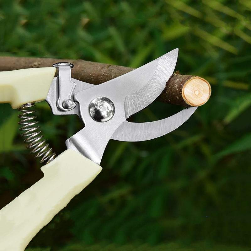 Pruner Orchard and The Garden  - Bonsai Garden Tools 리뷰 및 가격