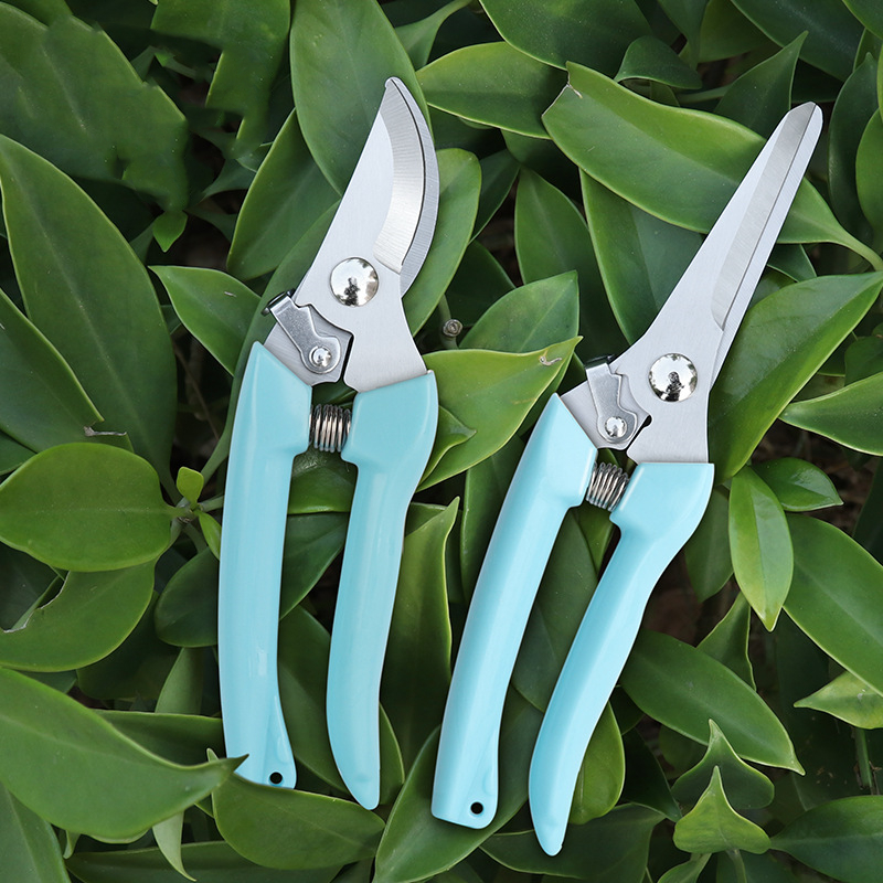 Pruner Orchard and The Garden  - Bonsai Garden Tools 리뷰 및 가격