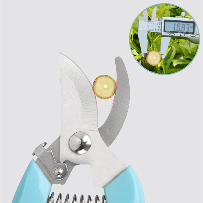 Pruner Orchard and The Garden  - Bonsai Garden Tools 리뷰 및 가격
