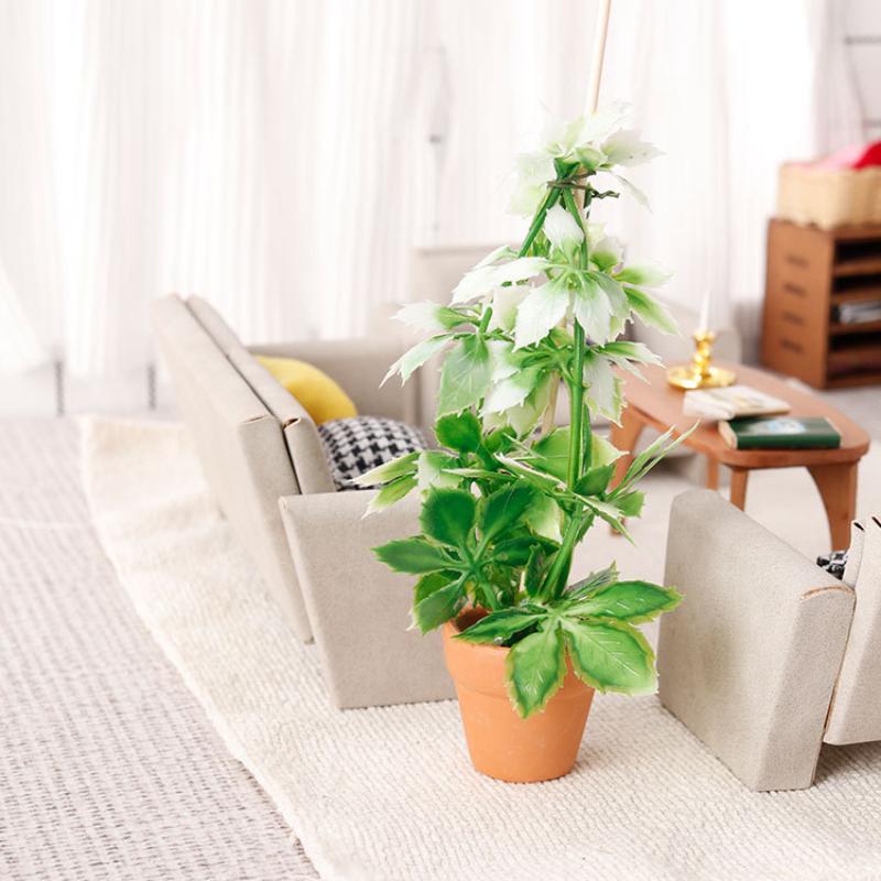 1/12 Dollhouse Simulation Gree - Us Bonsai Garden 리뷰 및 가격