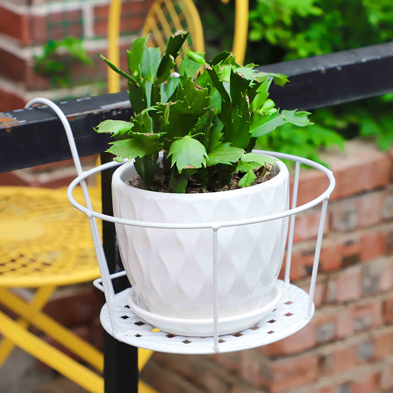 1PC Gardening Pots Outdoor Win - Bonsai Garden Art 리뷰 및 가격