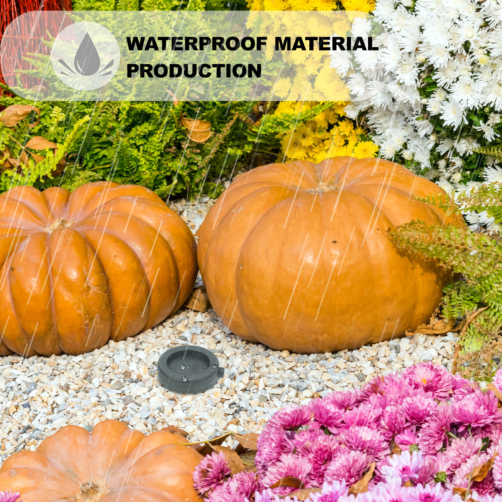 4Pcs Feng Shui Water Wheel Out - Us Bonsai Garden 리뷰 및 가격