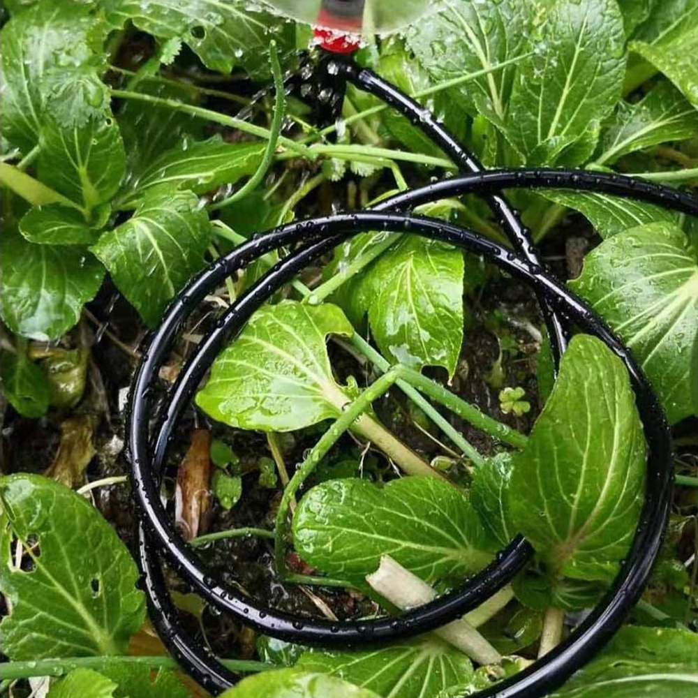Garden Watering Hose Drip Irri - Bonsai Garden Youtube 리뷰 및 가격