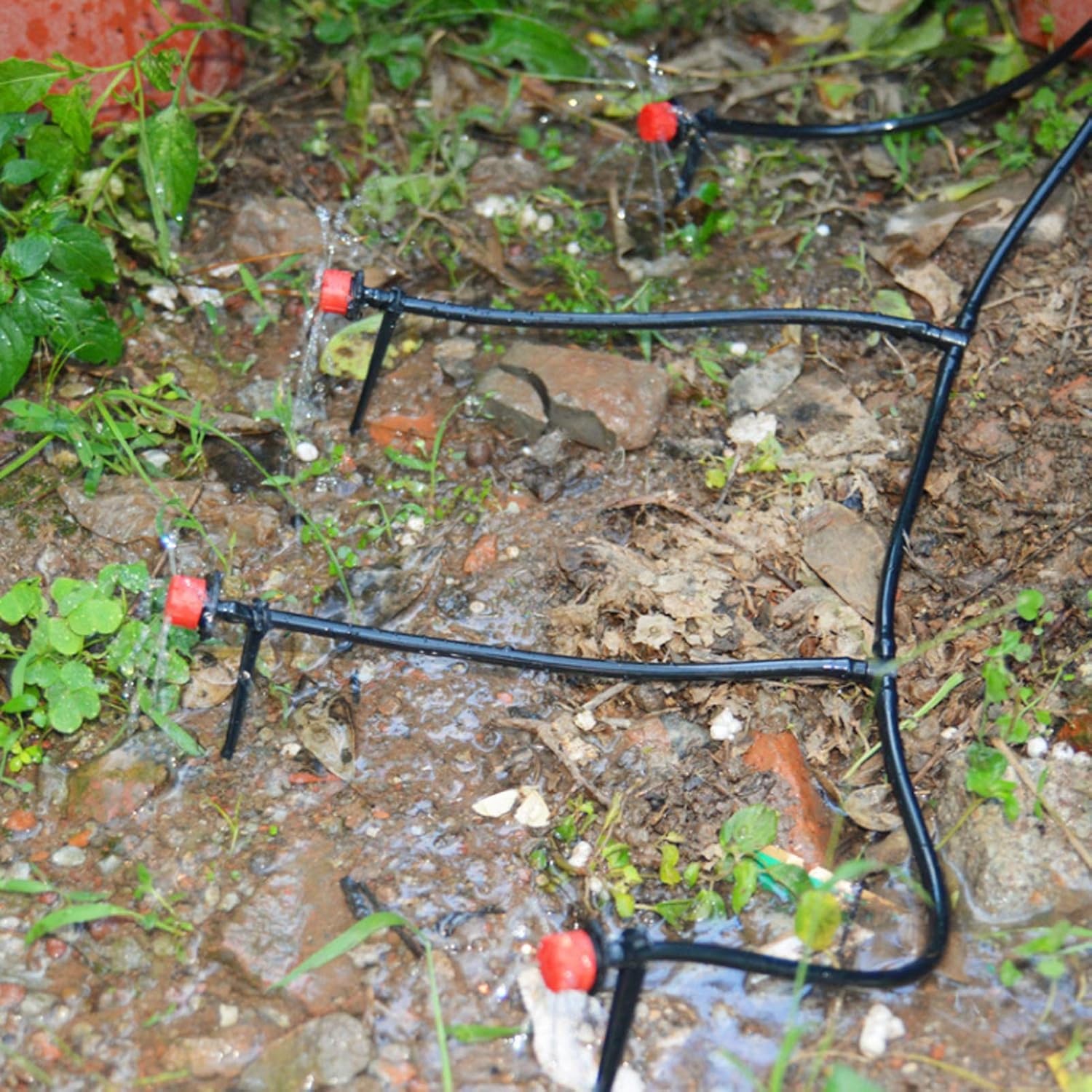 Garden Watering Hose Drip Irri - Bonsai Garden Youtube 리뷰 및 가격