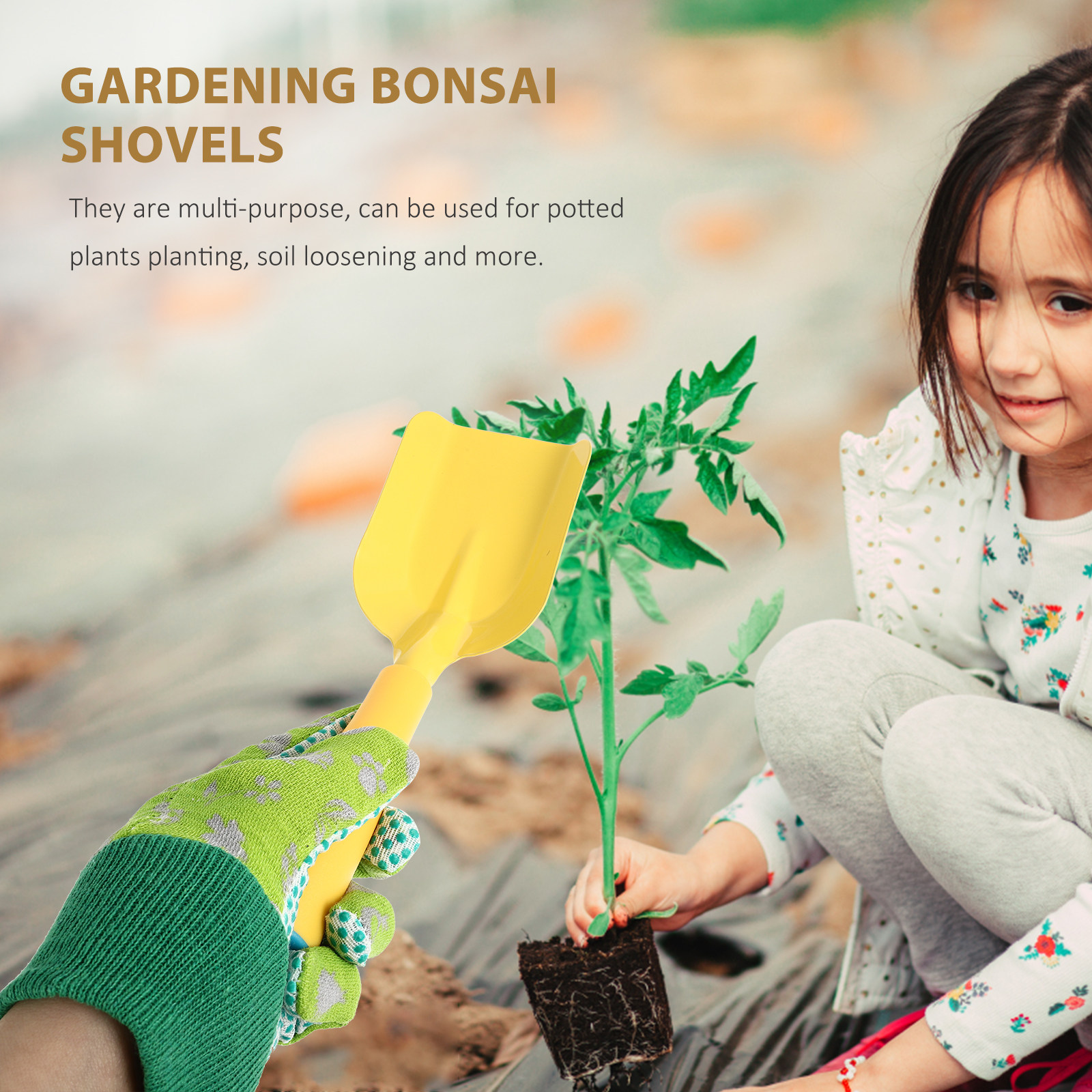1Set Mini Gardening Tools Kit  - Bonsai Garden Art 리뷰 및 가격