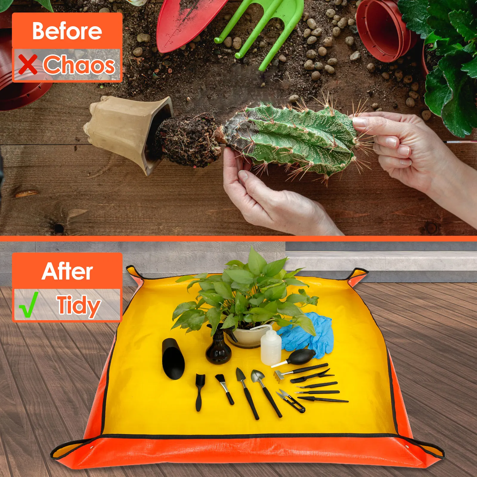 13/16Pcs Garden Succulent Plan - Bonsai Garden Tools 리뷰 및 가격