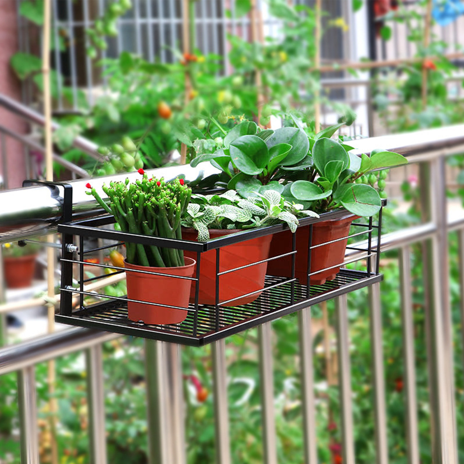 1Pcs Balcony Hanging Flower Po - Us Bonsai Garden 리뷰 및 가격