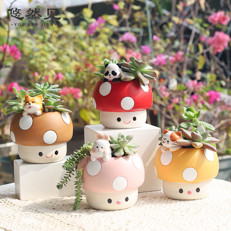 Cartoon Cute Mushroom Succulen - Bonsai Garden Youtube 리뷰 및 가격