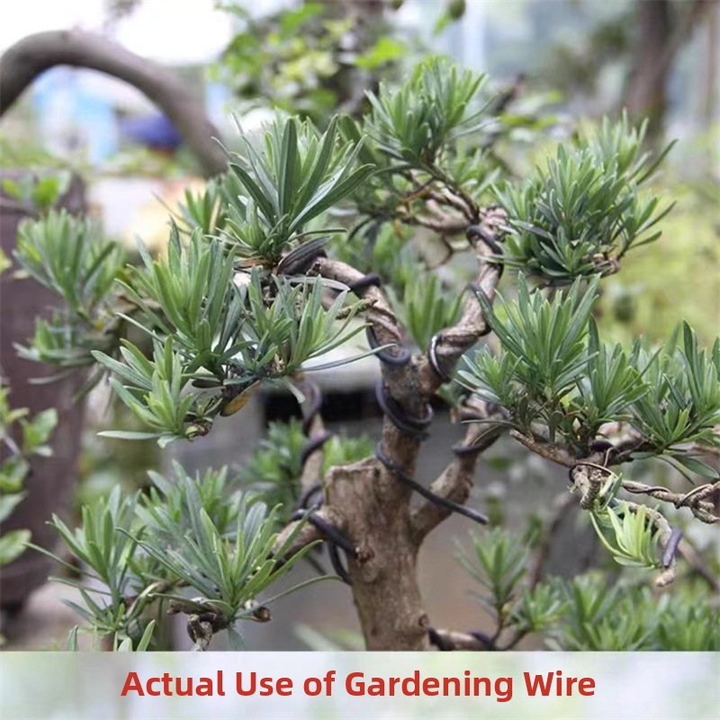 1.5MM Bonsai Wires Aluminum Bo - Bonsai Garden Tools 리뷰 및 가격