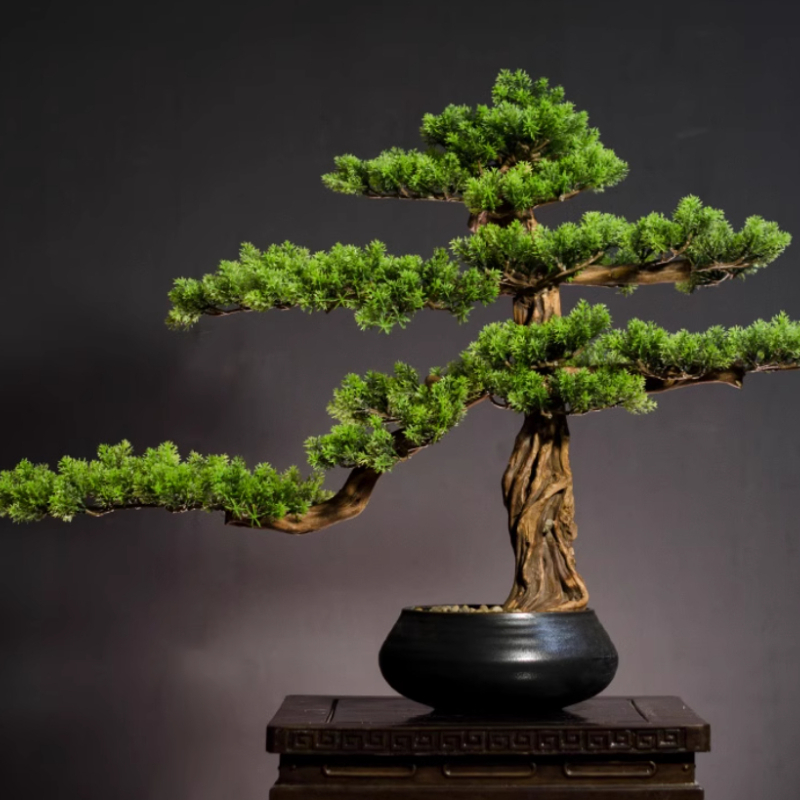 Home Welcoming Pine Ornaments  - Bonsai Garden Entrance 리뷰 및 가격