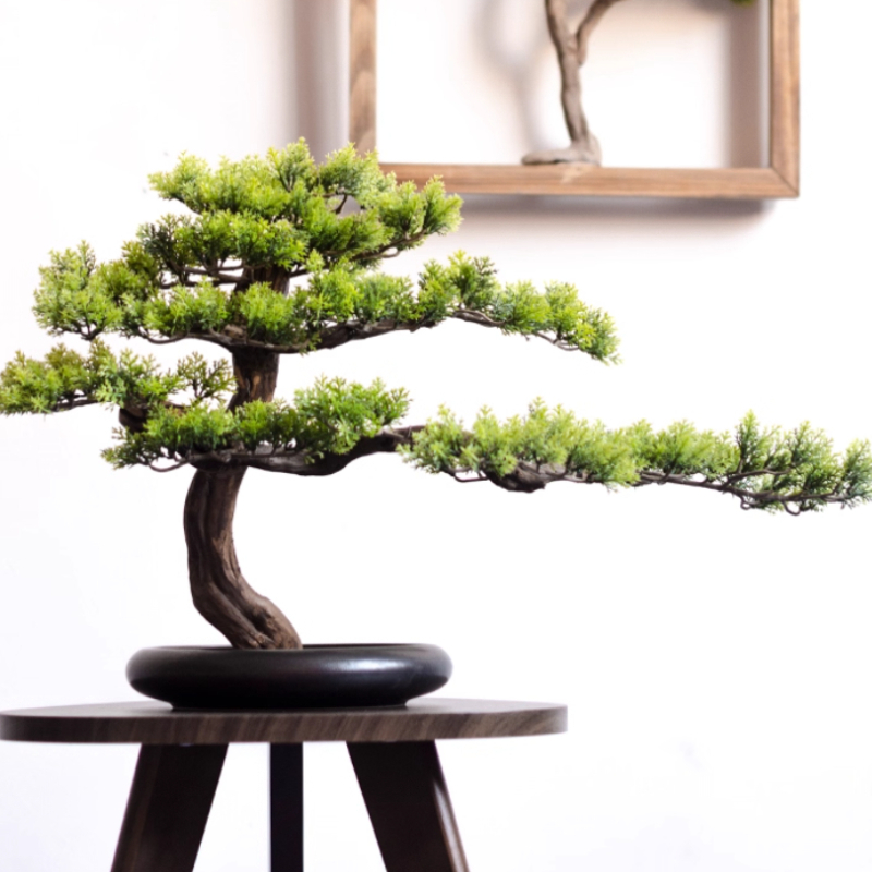 Home Welcoming Pine Ornaments  - Bonsai Garden Entrance 리뷰 및 가격