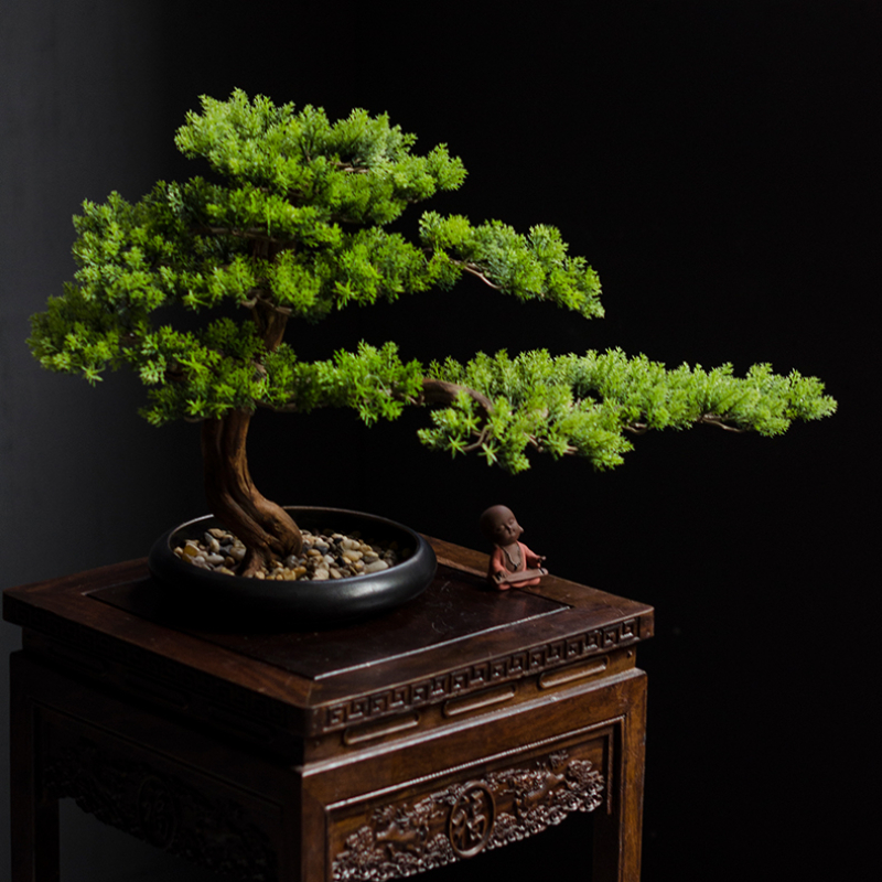 Home Welcoming Pine Ornaments  - Bonsai Garden Entrance 리뷰 및 가격