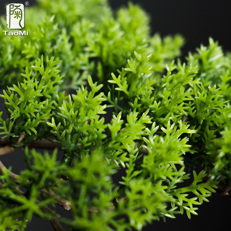 Home Welcoming Pine Ornaments  - Bonsai Garden Entrance 리뷰 및 가격