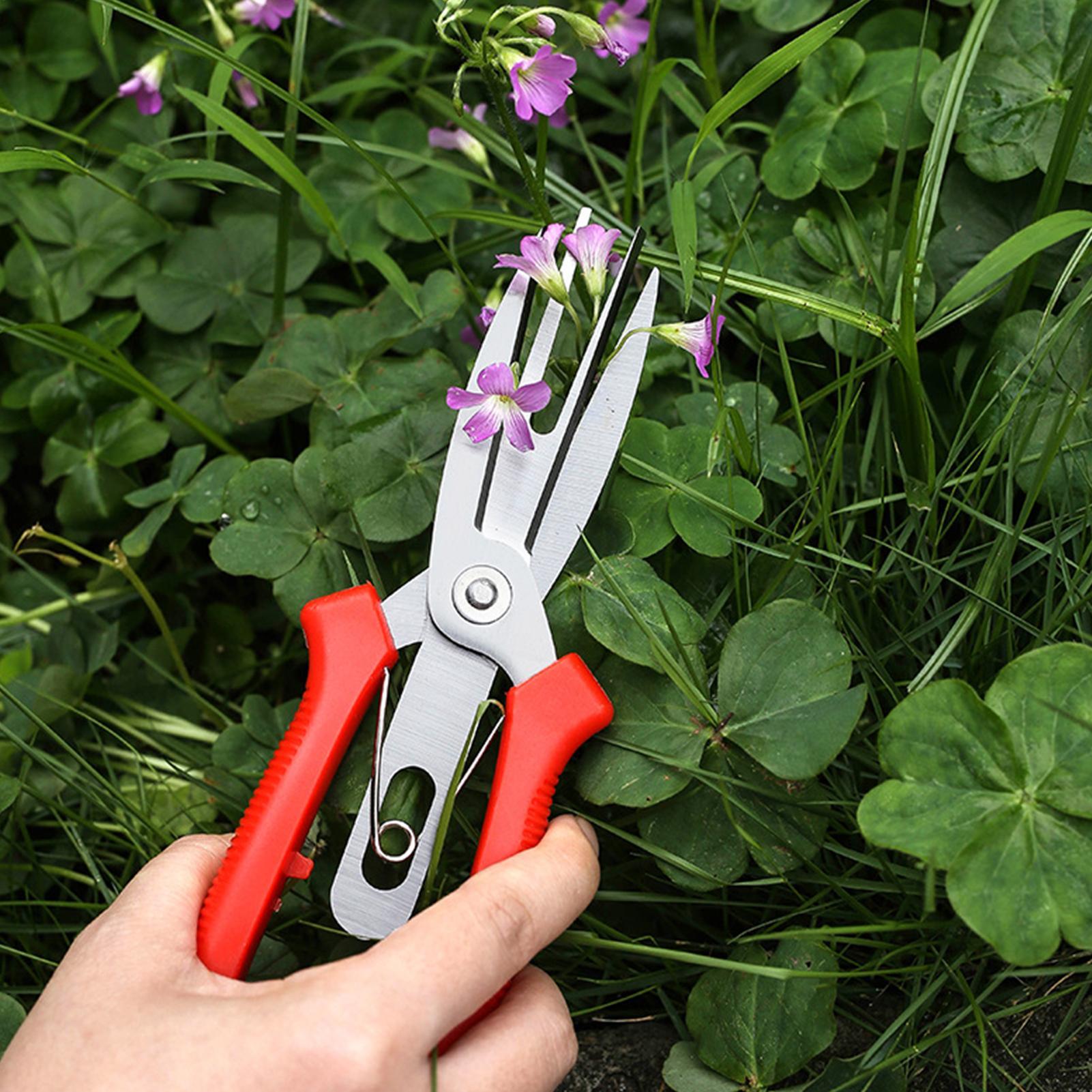Garden Shears Stainless Steel  - Us Bonsai Garden 리뷰 및 가격