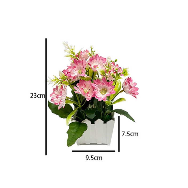 Romantic imitation chrysanthem - Bonsai Garden Entrance 리뷰 및 가격