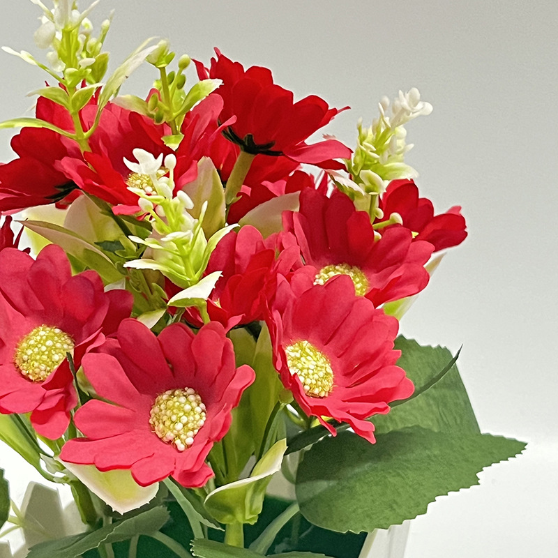 Romantic imitation chrysanthem - Bonsai Garden Entrance 리뷰 및 가격