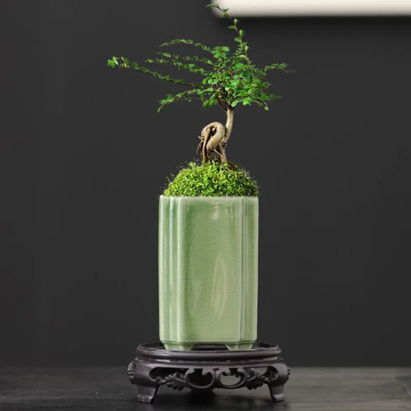 Porcelain Square Celadon Glaze - Bonsai Garden Art 리뷰 및 가격