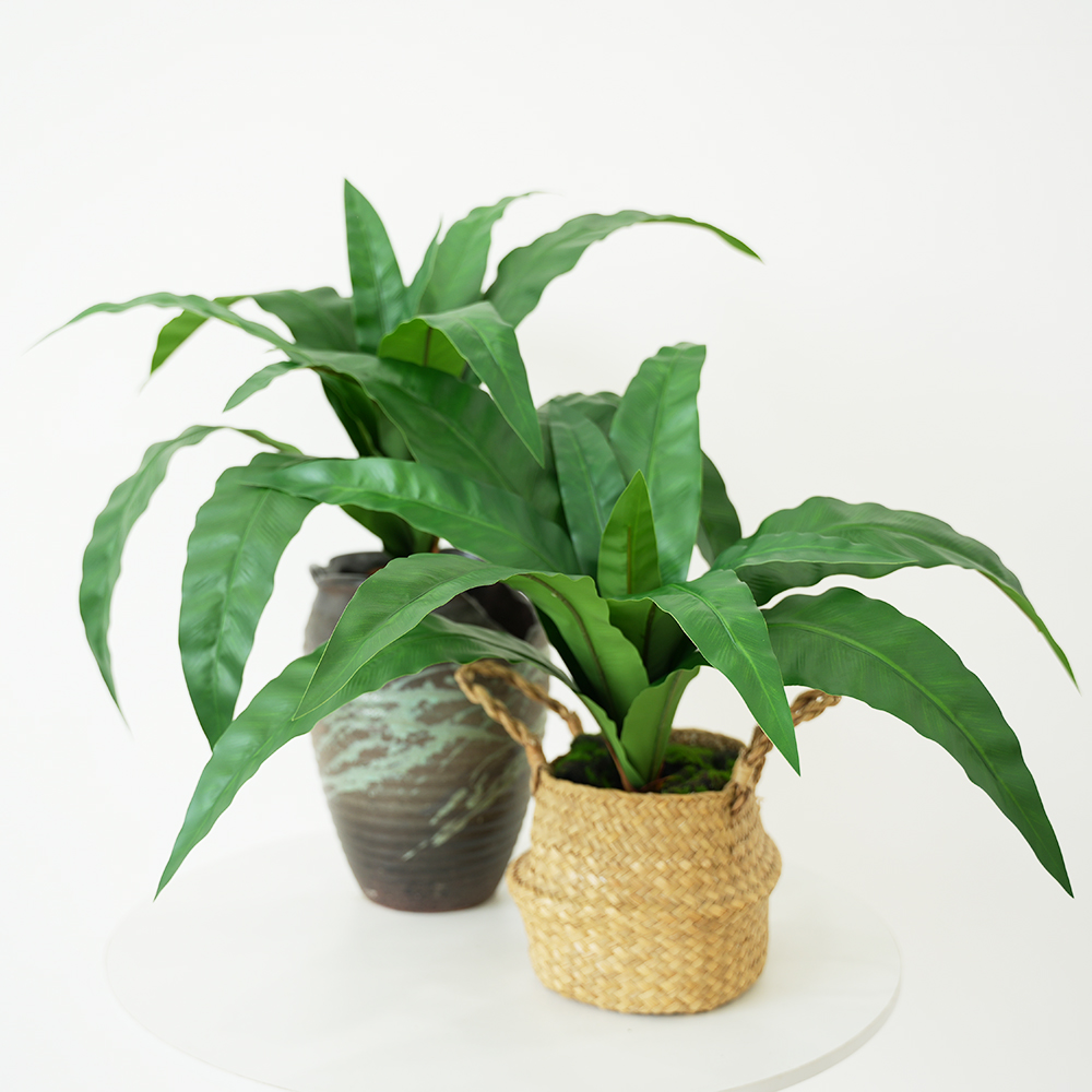 Large Artificial Fern with 12  - Bonsai Garden Entrance 리뷰 및 가격