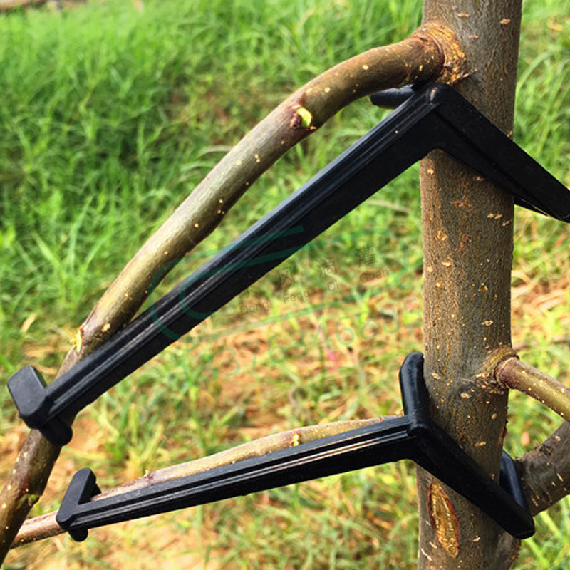 10-30Pcs Fruit Tree Clips Plan - Bonsai Garden Tools 리뷰 및 가격
