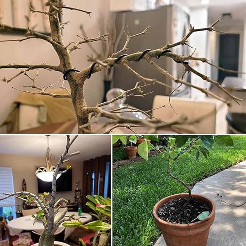 1mm Black Aluminum Bonsai Wire - Bonsai Garden Art 리뷰 및 가격