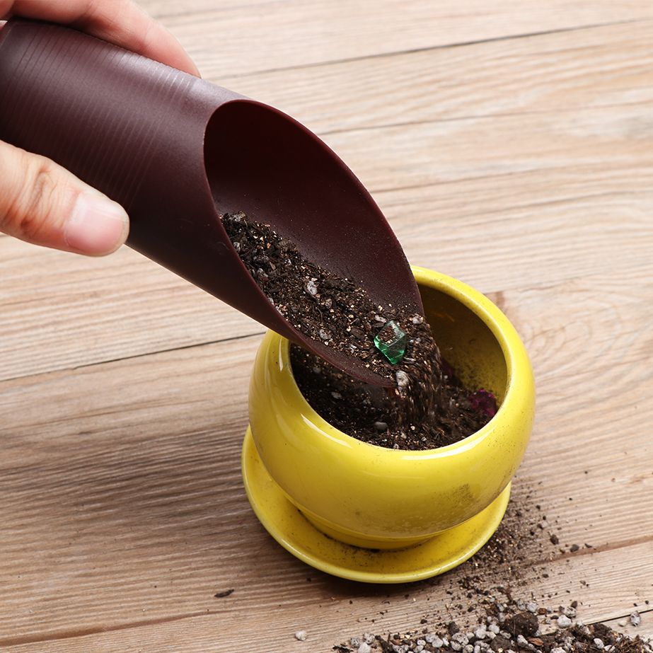 1PC Plastic Soil Shovel Cup Fo - Bonsai Garden Tools 리뷰 및 가격