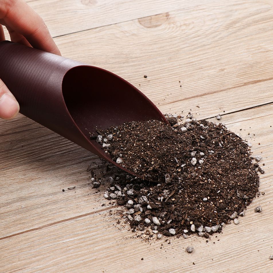 1PC Plastic Soil Shovel Cup Fo - Bonsai Garden Tools 리뷰 및 가격