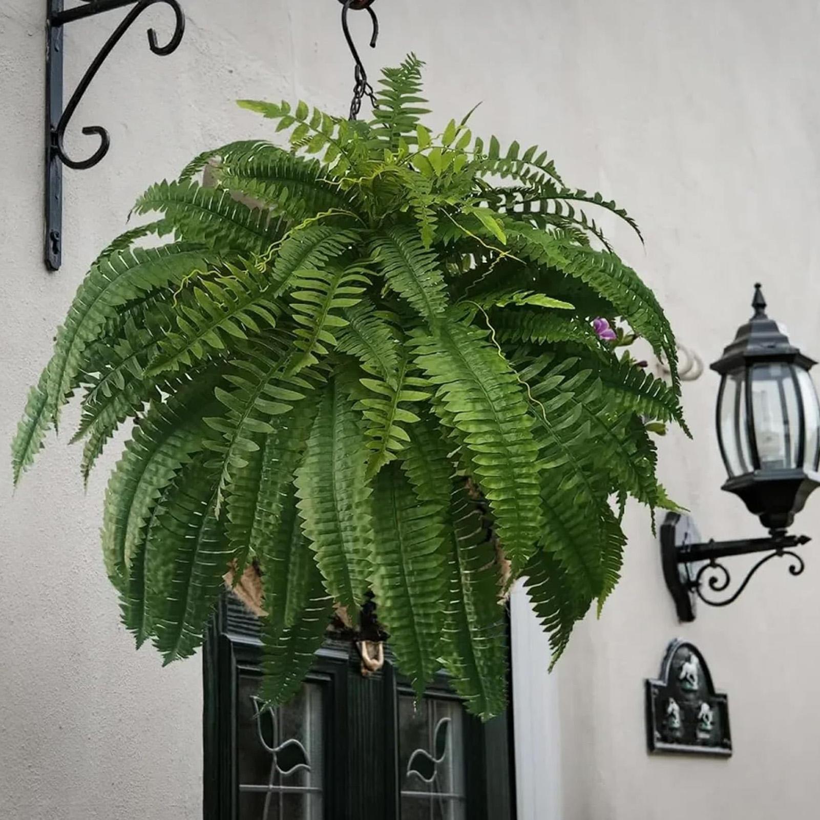 Artificial Boston Fern Fake Pl - Bonsai Garden Boston 리뷰 및 가격